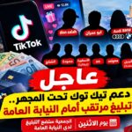 عاجل | دعم تيك توك تحت المجهر.. تبليغ مرتقب أمام النيابة العامة يوم الاثنين